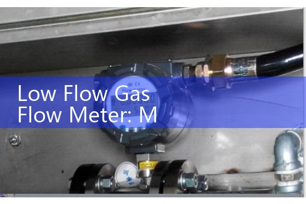 Low Flow Gas Flow Meter: Miniature High-Precision Monitors
